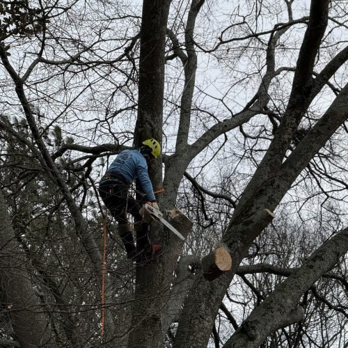 WhatsApp Image 2026-02-25 at 1.08.09 PM