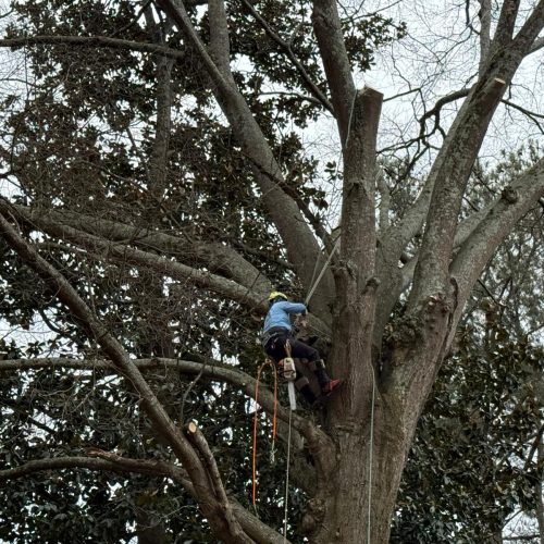 WhatsApp Image 2026-02-25 at 1.11.42 PM