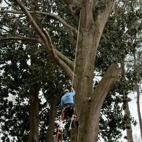 WhatsApp Image 2026-02-25 at 1.13.06 PM