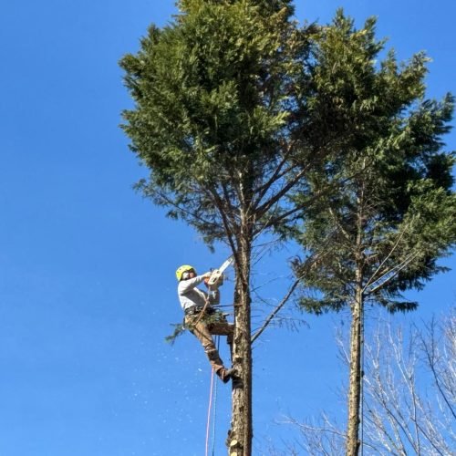 WhatsApp Image 2026-02-25 at 11.10.57 AM