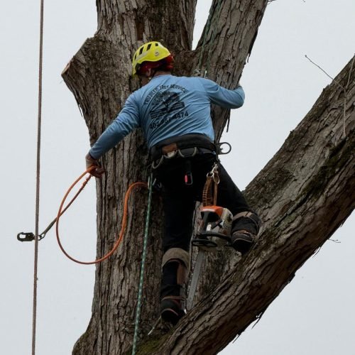 WhatsApp Image 2026-02-25 at 11.17.27 AM