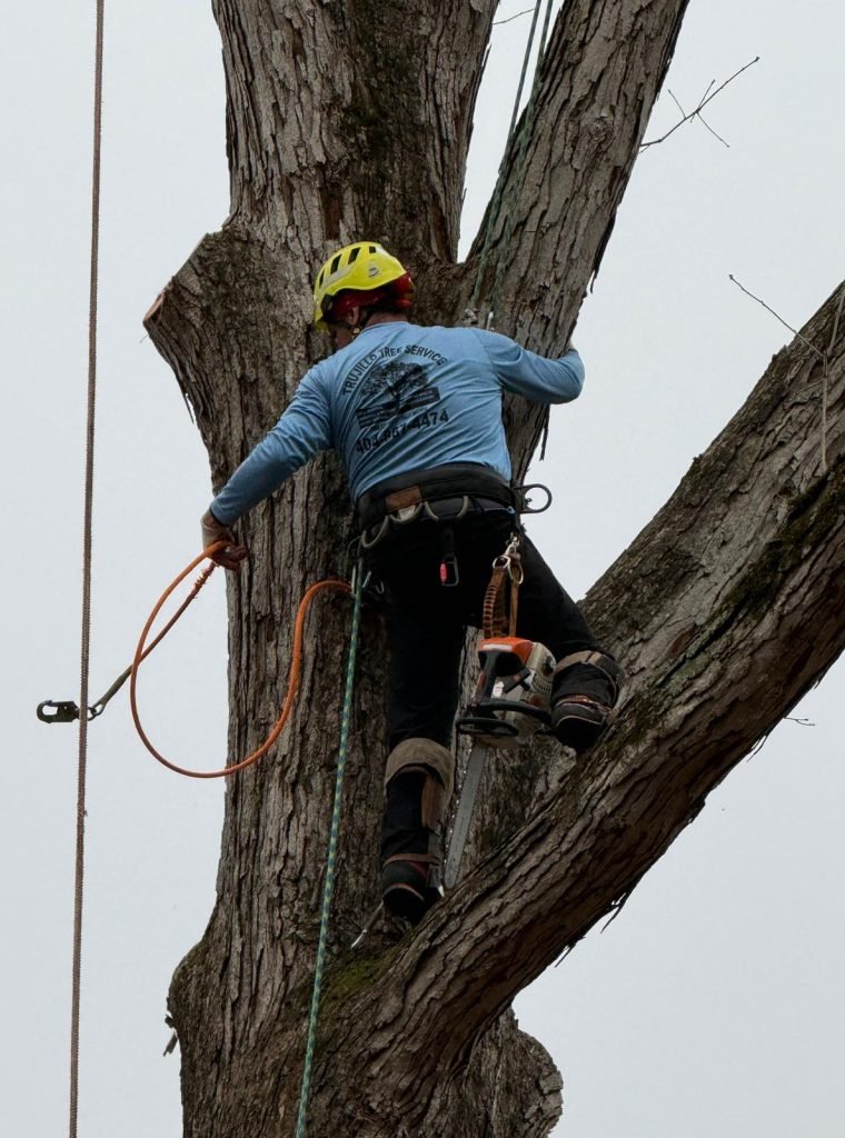 WhatsApp Image 2026-02-25 at 11.17.27 AM