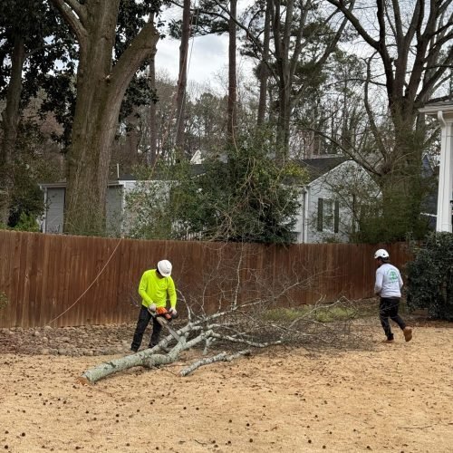 WhatsApp Image 2026-02-25 at 12.55.15 PM