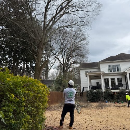 WhatsApp Image 2026-02-25 at 12.55.50 PM